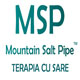 MountainSaltPipeLogo-190x190-tm